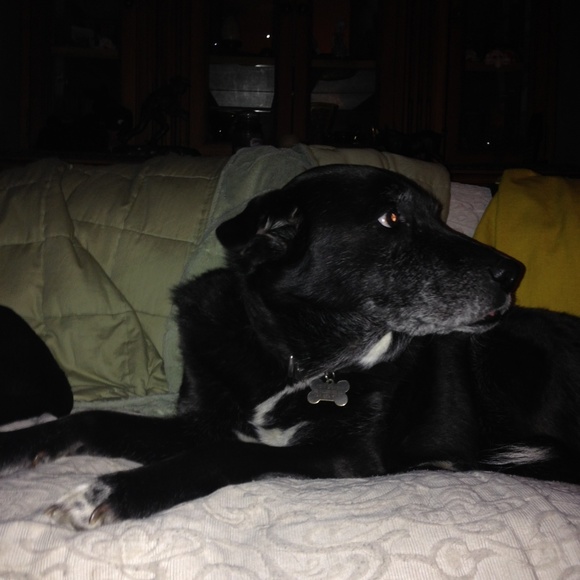 Meet your Posher, Timothy - Picture 3 of 4